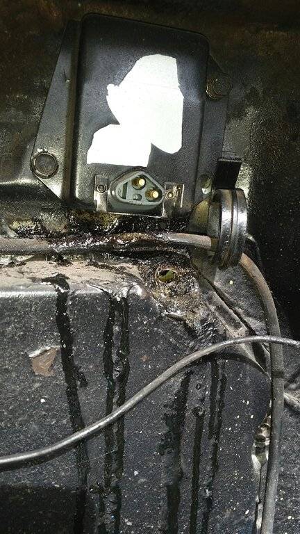 2021-06-06 17.40.00.jpg