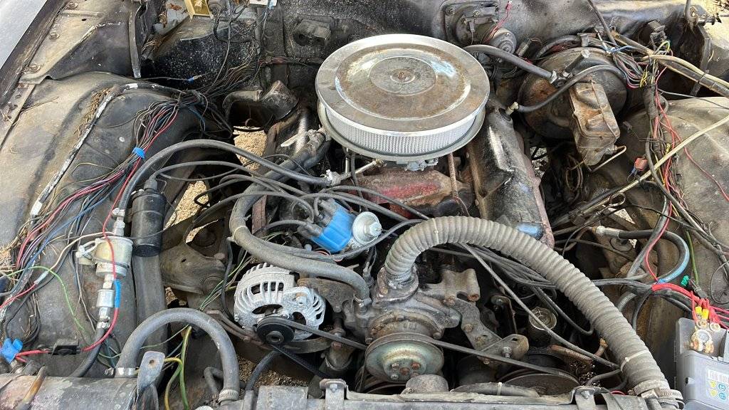 2022-05-21 at 3.22.50 PM.jpeg