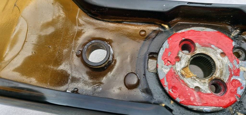 2024-08-01 09.23.11.jpg