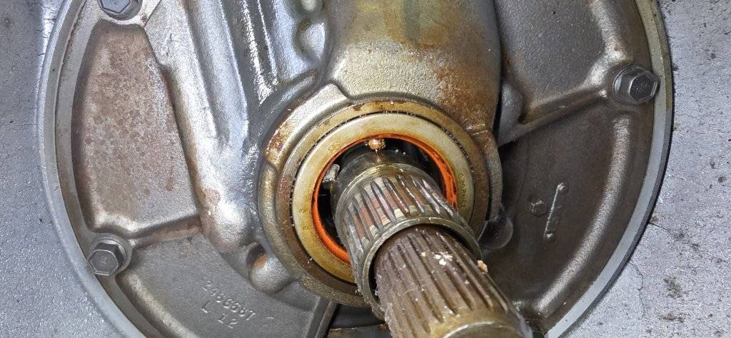 2025-05-27 21.36.03.jpg