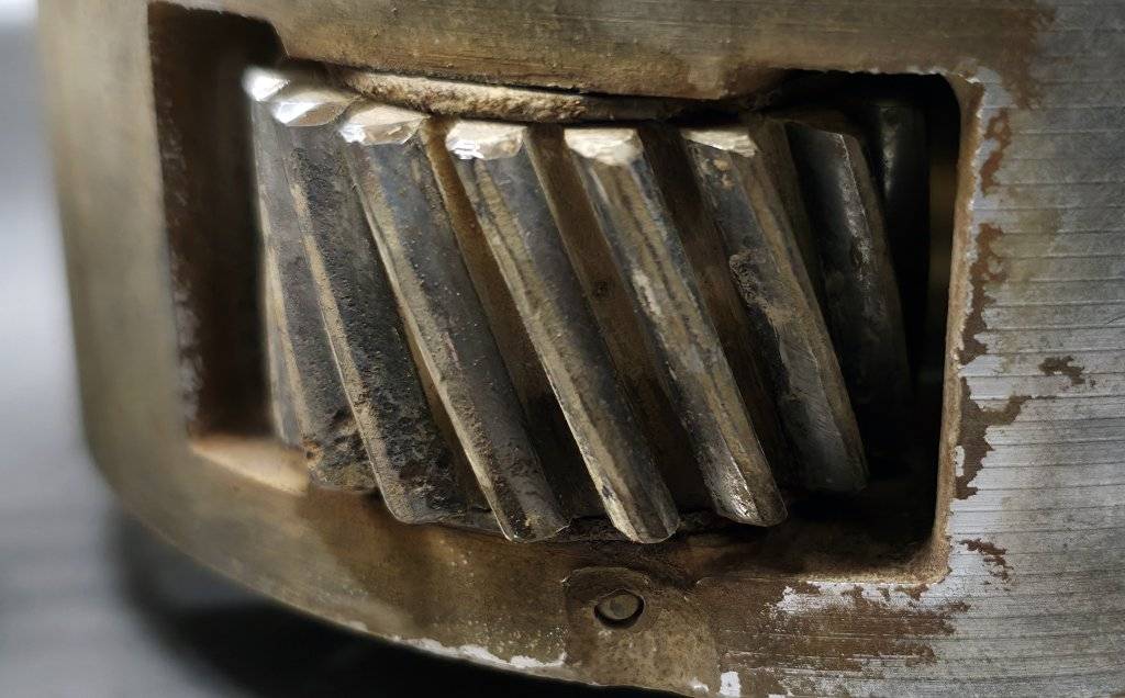 2025-05-31 19.16.21.jpg