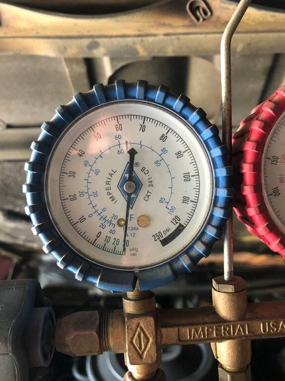 24 hours later 20210607 64728009903__E63CF66A-69C2-4855-B10E-9FC0DA65F070.jpeg