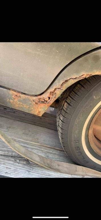 270751378_5041333542554455_7921997922165126343_n (1).jpg