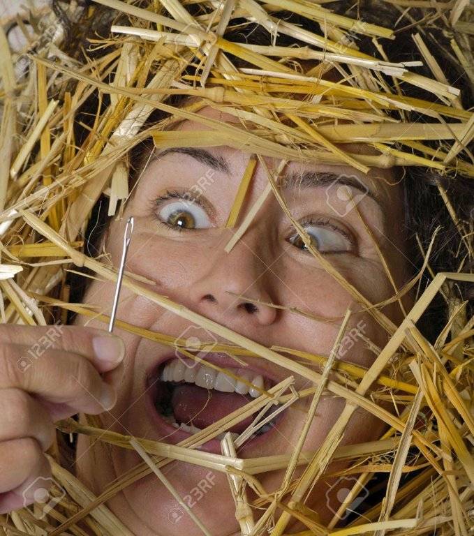 272851-woman-finds-a-needle-in-a-haystack-.jpg