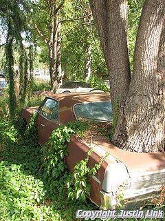 2f98ce0caa2c1f2bf02e431ac4c2e774--mobile-garden-rusty-cars.jpg