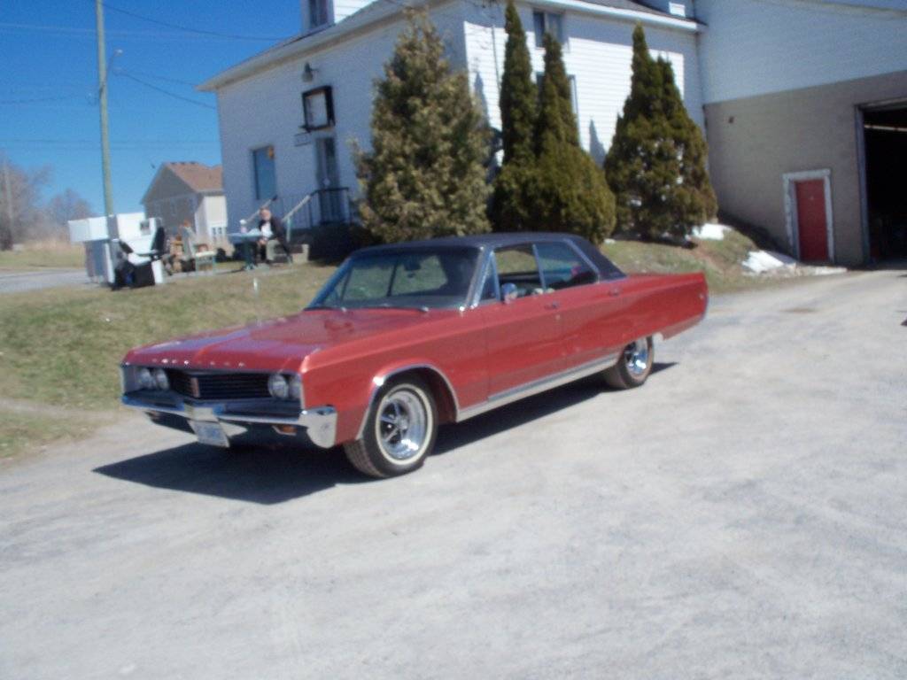 340Demon and boab 010.JPG