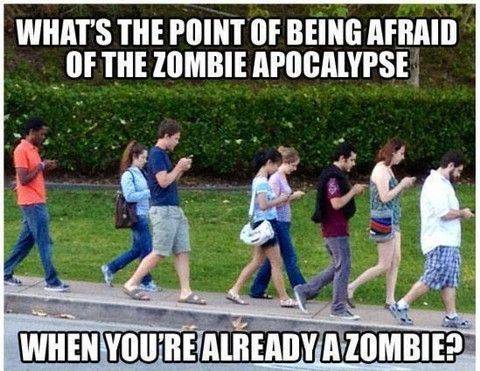 35ffb5fbabbf91a01ceb3bead12b06e3-zombie-apocalypse-apocalypse-survival.jpg