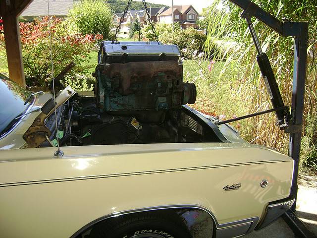 440 Free at Last.jpg