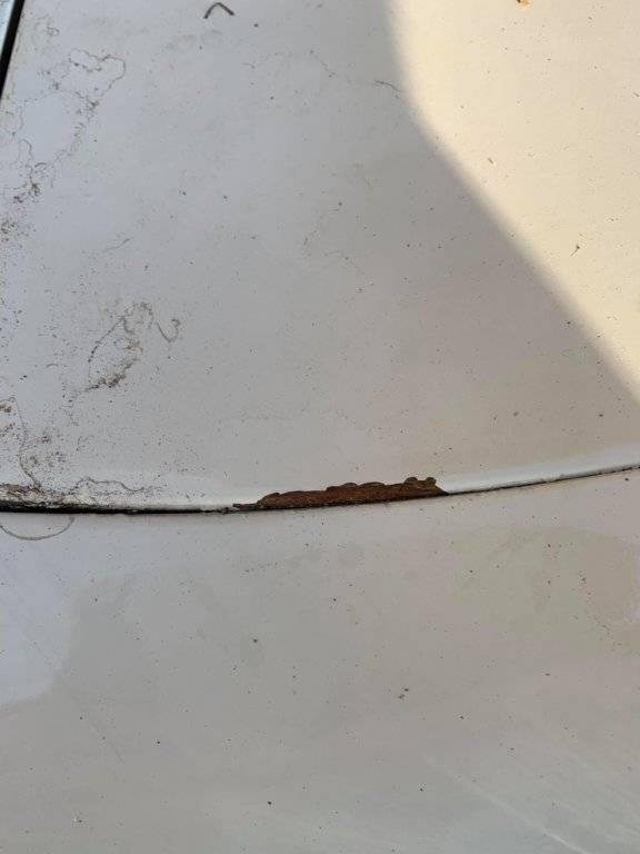 52953605_505563186639907_6941019848755380224_n (1).jpg