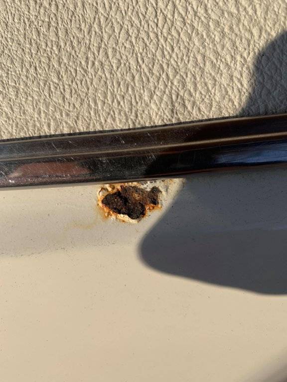 52956996_329434987915445_4167566780610379776_n (1).jpg