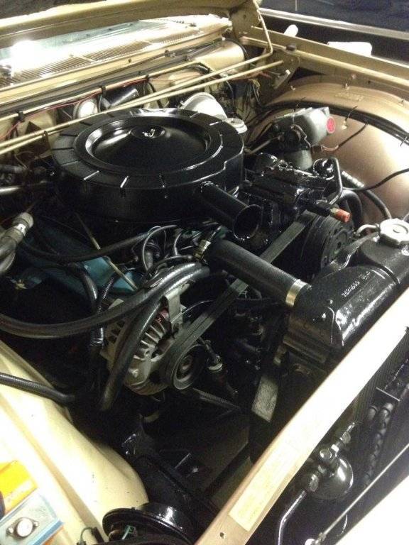 56436340-770-0@2X (1).jpg