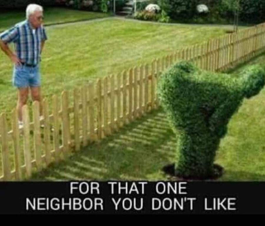 That not my neighbor ответы на вопросы