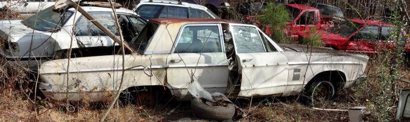 65 Fury, gibbs (Large).jpg