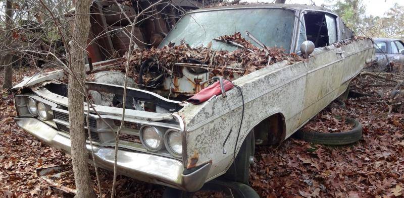 66 polara, gibbs (Large).jpg