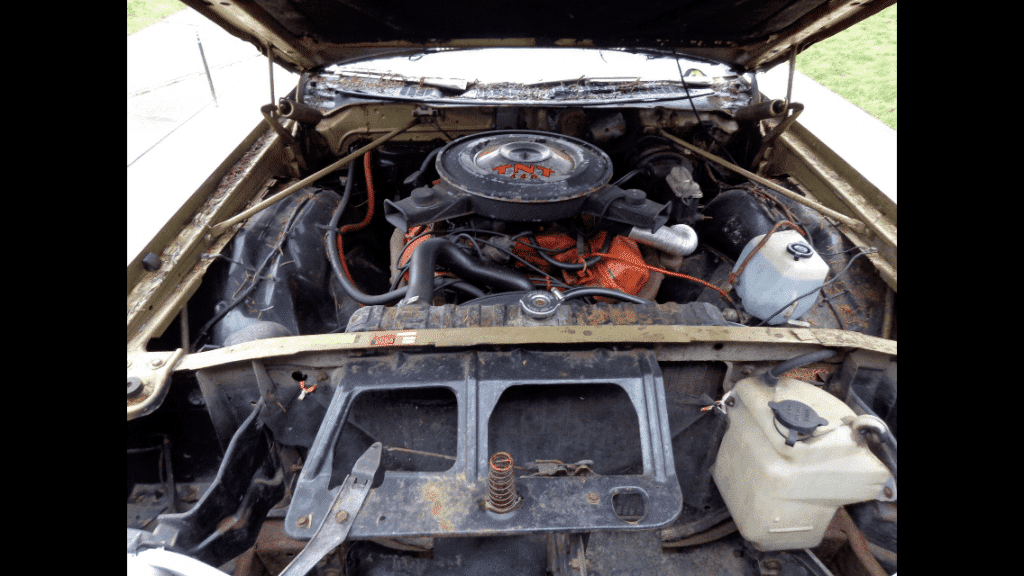 70 new yorker TNT 1.png