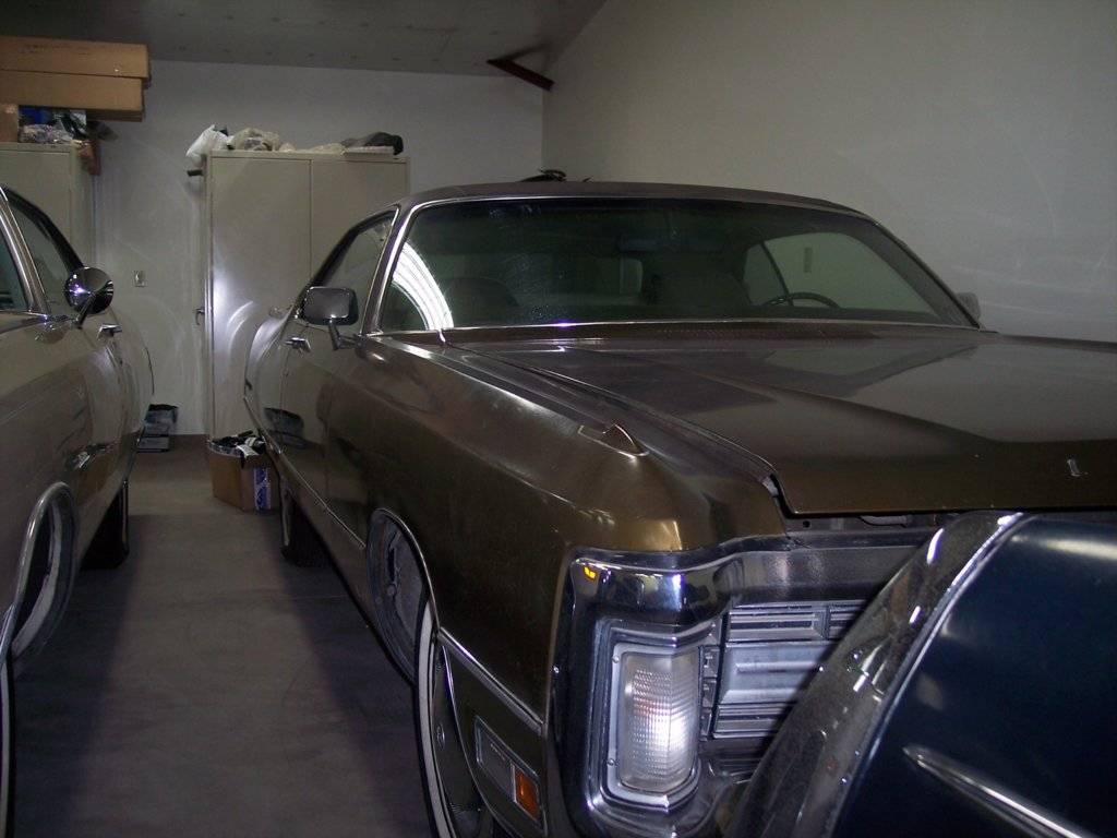 71 Imperial Tawny Gold.jpg