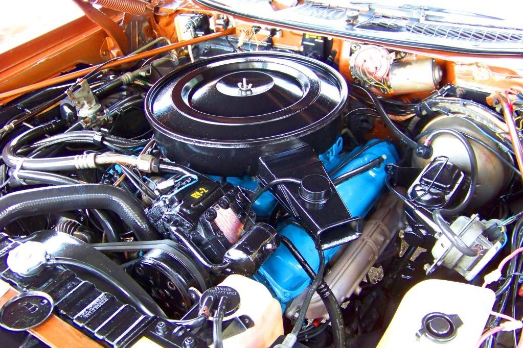 72 T&C bronze+tan 15.JPG