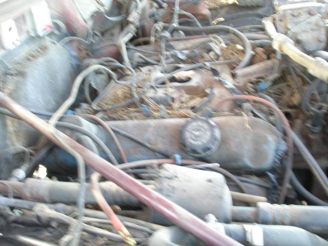 73 Chrysler New Yorker PNP 003 (Small).JPG