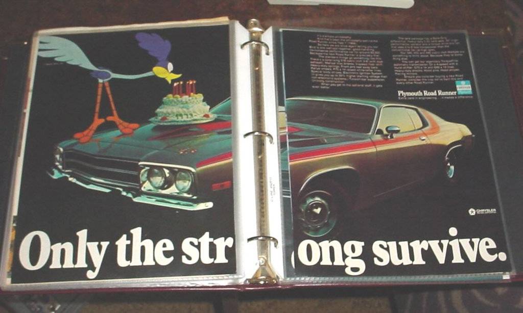 73 road runner double.jpg