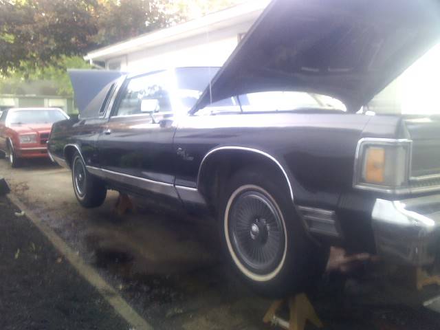 76 monaco polycast.jpg