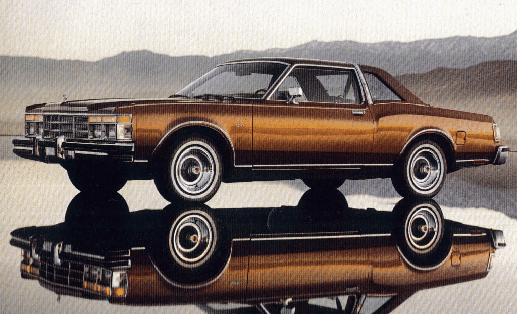 77-Coupe-1024x622.png