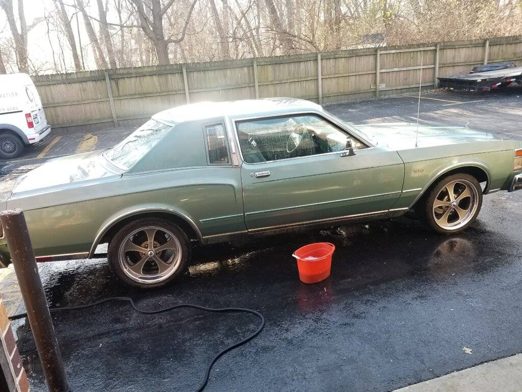 79 getting washed.jpg