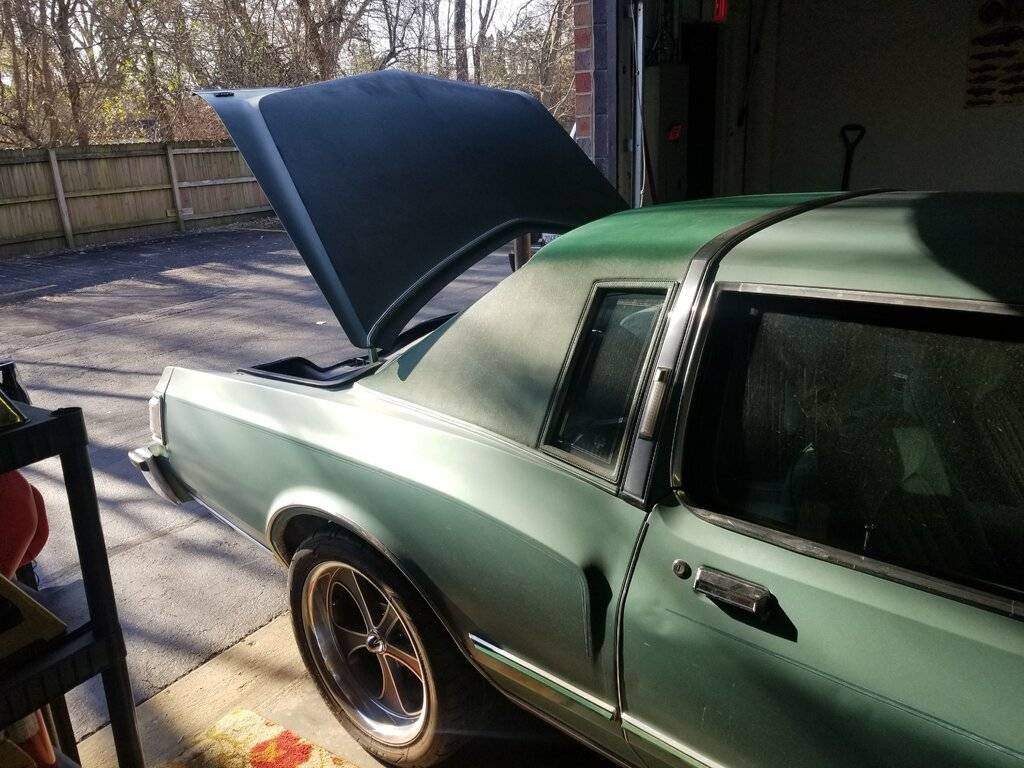 79 open trunk.jpg