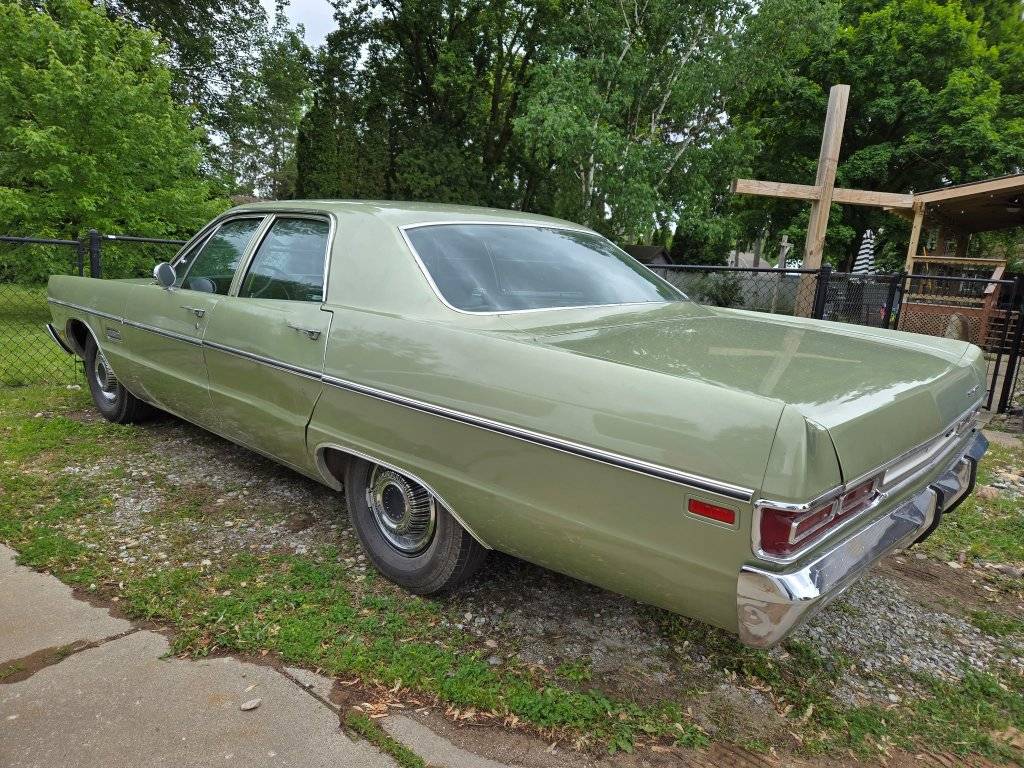 9083594905866629056 (1).jpg