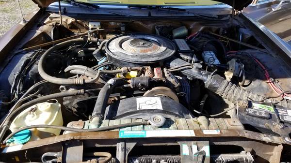 9_3 CL 76 Royal_Portland 3.jpg