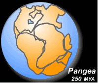 animated_pangea.gif