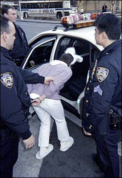 arrested%20rabbit.jpg