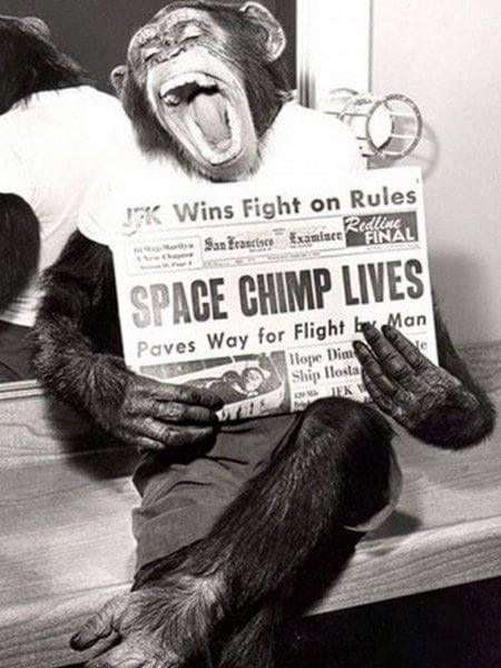 astrochimp.jpg