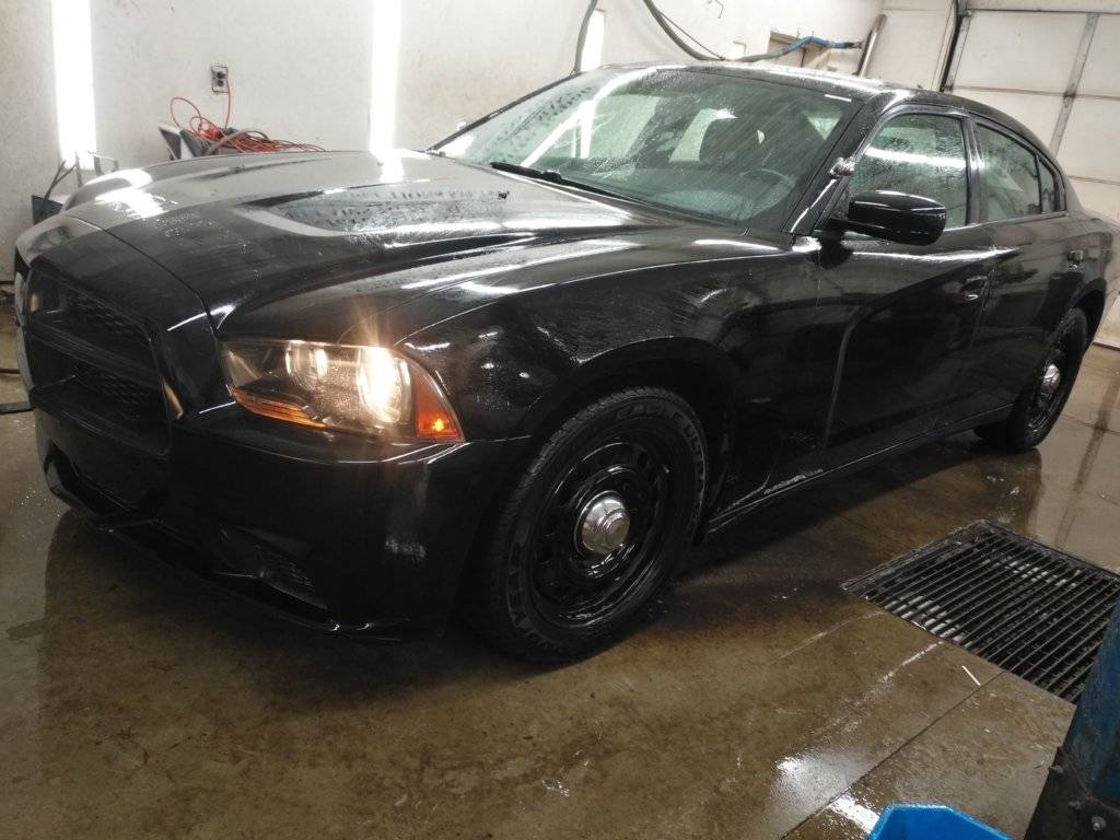 awd14chgrjag 023.jpg