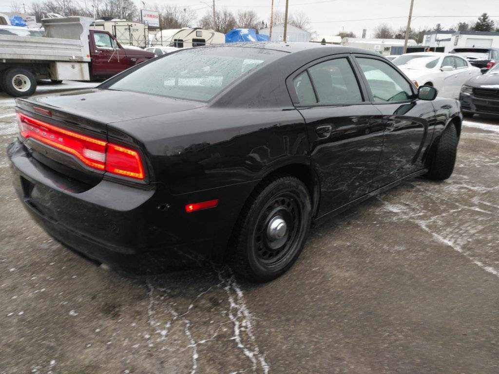 awd14chgrjag 030.jpg