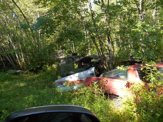 Ayottes in Oxford 003.jpg