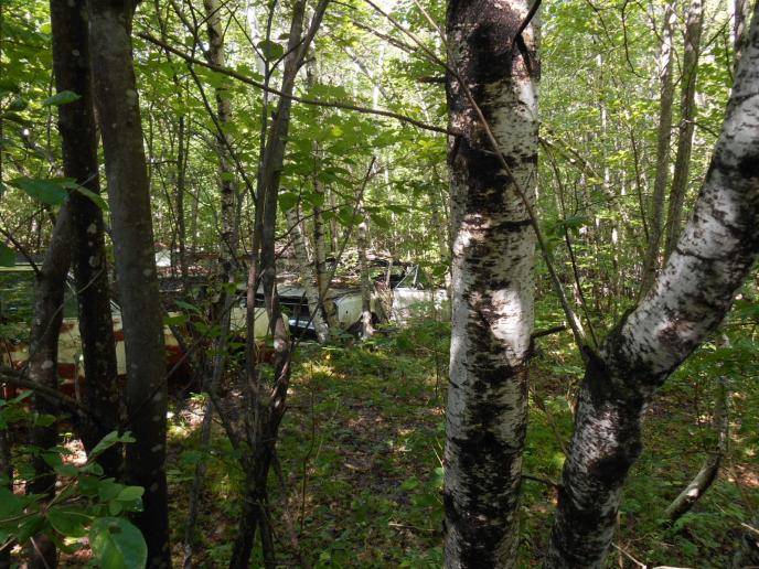 Ayottes in Oxford 005.jpg