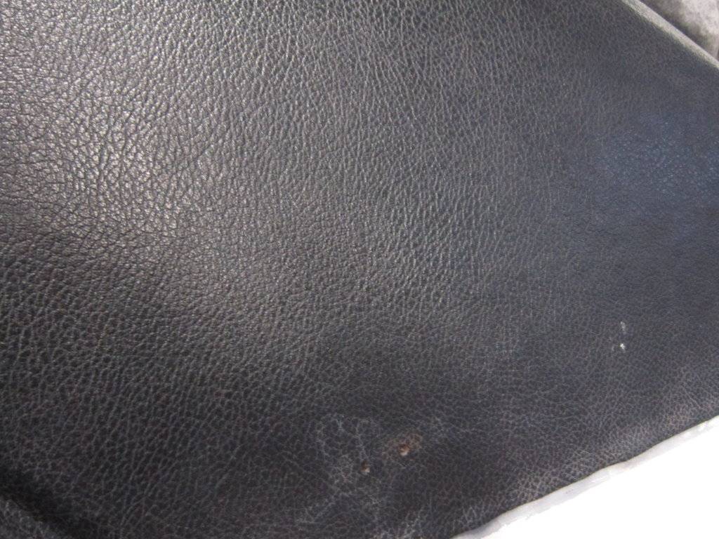 Baron 23.3.2019 007.JPG