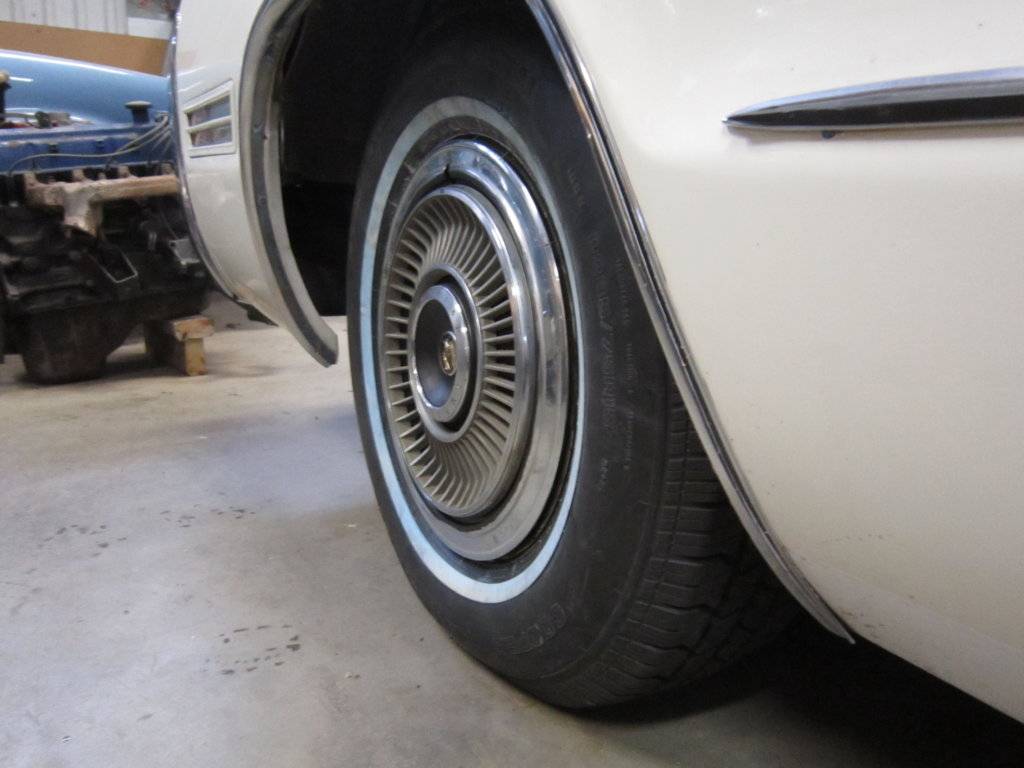 Baron 23.3.2019 020.JPG