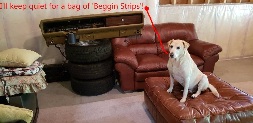 BEGGIN.STRIPS.002.jpg