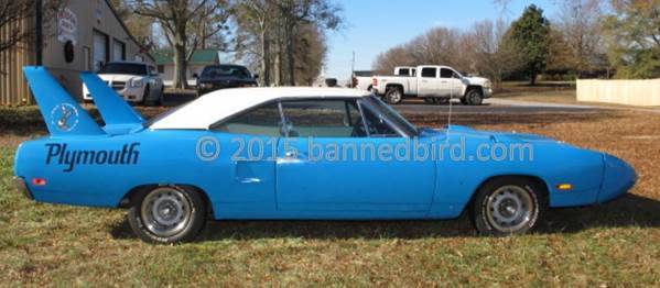 bird field WM K1 w599.jpg