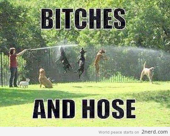 Bitches-and-Hose.jpg