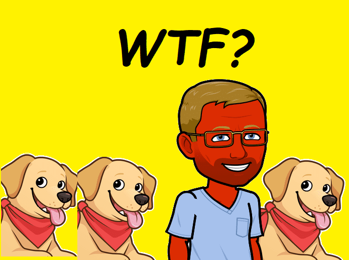 bitmoji-20190218051521 (1)wtf.png