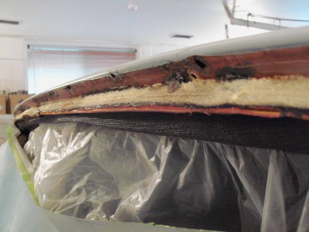 boab april 2014 014.JPG