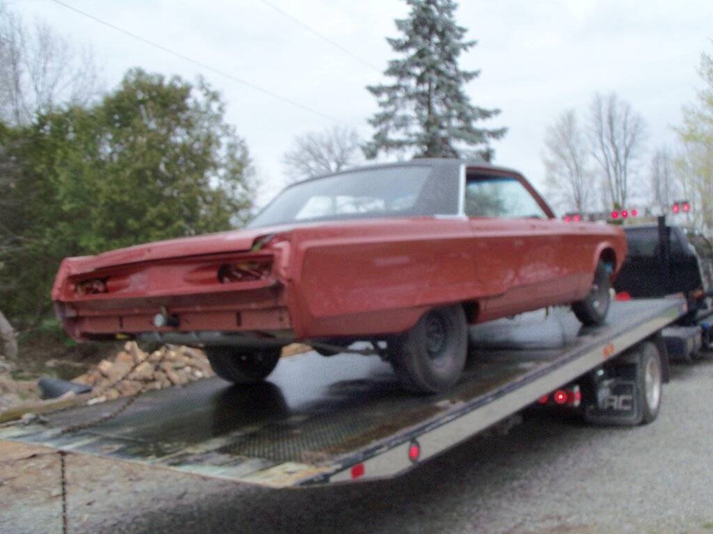 boab april 2017 002.JPG