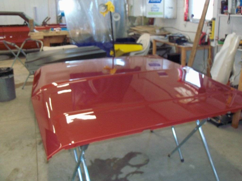 boab april 2017 008.JPG