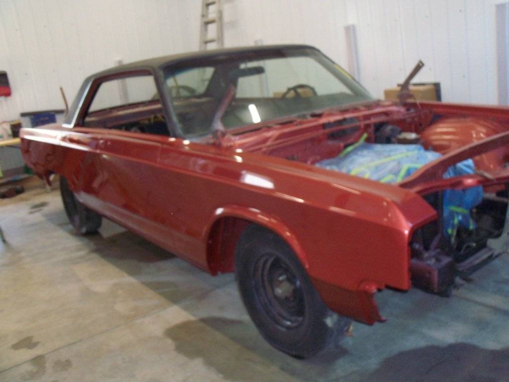 boab april 2017 010.JPG