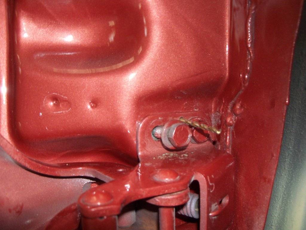 boab april 2017 014.JPG