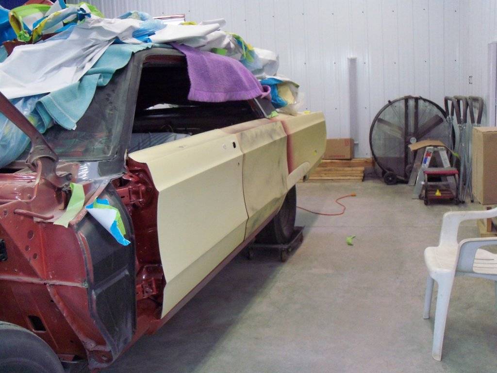 boab april 2017 024.JPG