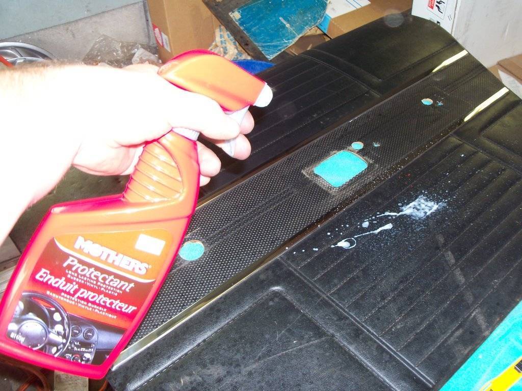 boab august 2017 006.JPG