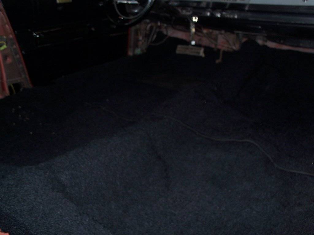 boab august 2017 007.JPG